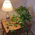 Appartement Maison Retro *