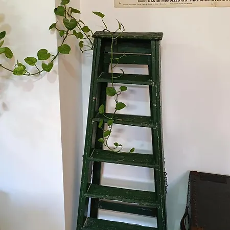 Appartement Maison Retro
