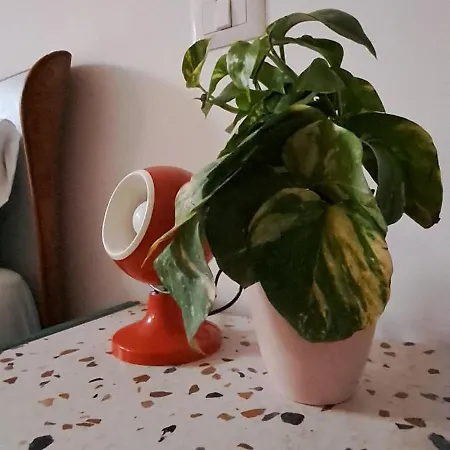 Maison Retro Apartmán