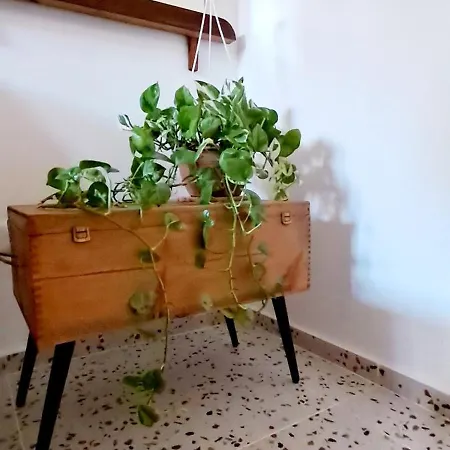 Maison Retro